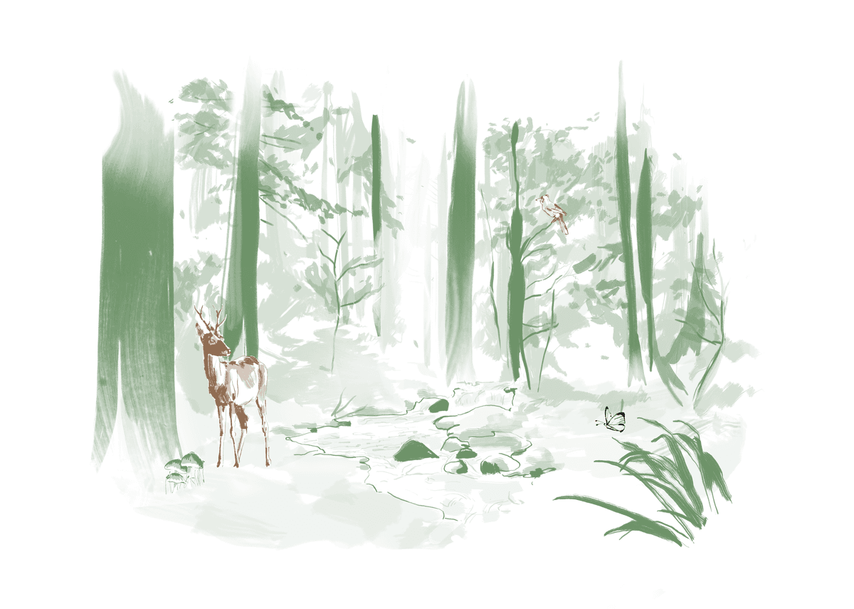 Kering Selected for new ScienceBased Targets for Nature Kering