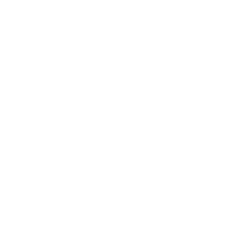 alexander_mc_queen_logo_transparent_320x320.png
