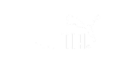 puma_logo_transparent_444x287.png